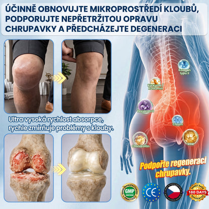 🇨🇿 𝐀𝐌𝐙𝐊𝐄𝐄𝐏® 𝟏𝟎 𝐯 𝟏 𝐍𝐚𝐧𝐨 𝐍á𝐩𝐥𝐚𝐬𝐭 — 𝐌𝐨𝐫𝐢𝐧𝐠𝐚 · 𝐁𝐞𝐫𝐛𝐞𝐫𝐢𝐧 · 𝐀𝐌𝐏𝐊 𝐩𝐫𝐨 𝐩𝐨𝐝𝐩𝐨𝐫𝐮 𝐦𝐞𝐭𝐚𝐛𝐨𝐥𝐢𝐬𝐦𝐮, 𝐞𝐧𝐞𝐫𝐠𝐢𝐞 𝐚 𝐤𝐨𝐧𝐭𝐫𝐨𝐥𝐲 𝐜𝐡𝐮𝐭𝐢 𝐤 𝐣í𝐝𝐥𝐮